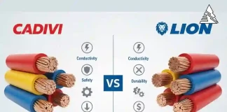 cadivi-lion